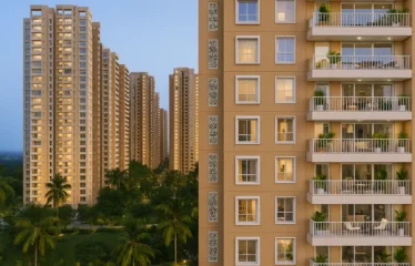 Prestige southern star1