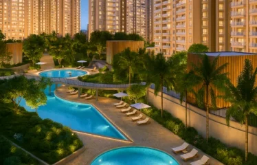 Prestige southern star1