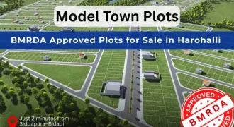 Model Town Plots