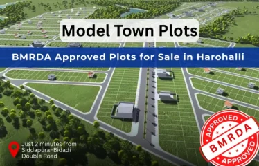 Model Town plots