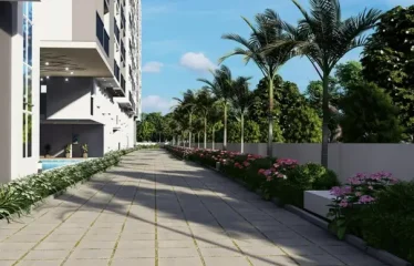 DS MAX Sky Sanjeevini