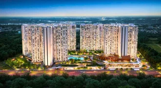 Purva Northern Lights