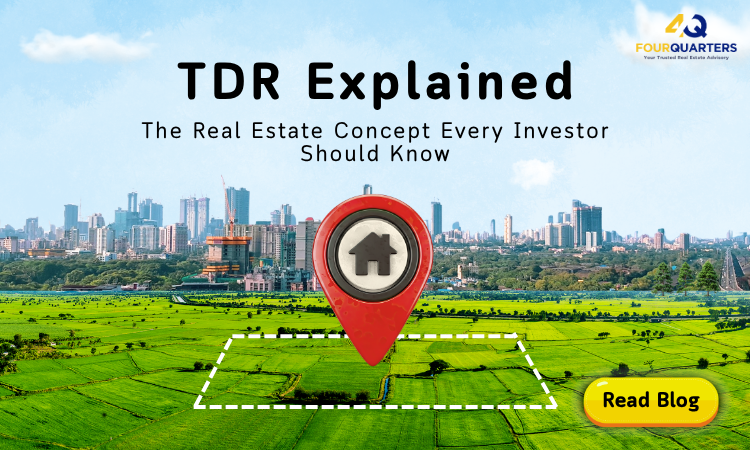 TDR Explained