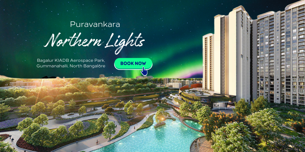 purva northern lights (1)